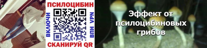 Галлюциногенные грибы MAGIC MUSHROOMS  Нижняя Тура 